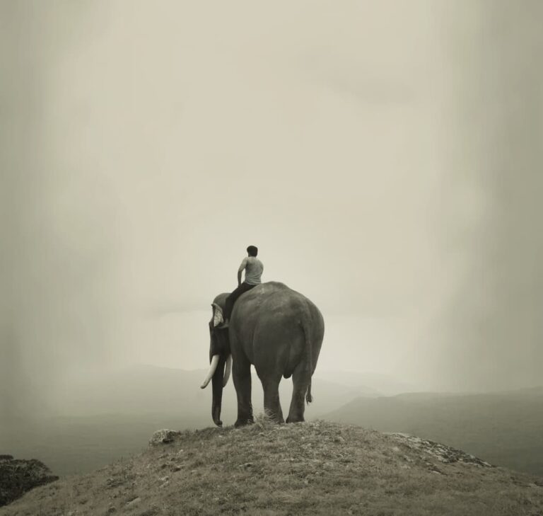 பென் ஸ்டூடியோஸ் ஜெயந்திலால் காடா தயாரிப்பில், பிரபு சாலமன் இயக்கத்தில் “கும்கி 2”;