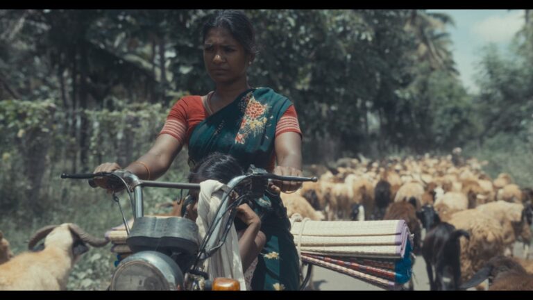 பிப்ரவரி 2026 – ரோட்டர்டாம், IFFR 2026 இல் NETPAC விருதுக்கு மயிலா பரிந்துரை!
